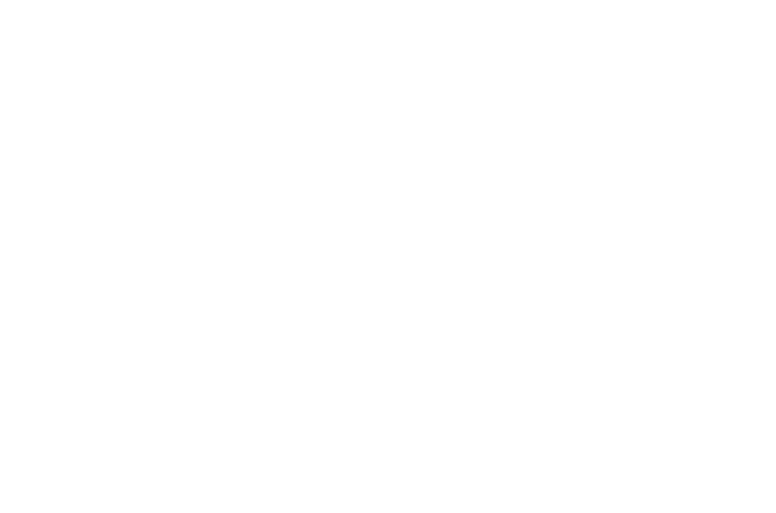 LAP Technologies